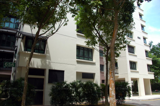 Blk 656 Senja Road (Bukit Panjang), HDB Executive #221382